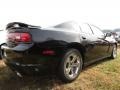 Pitch Black - Charger SE Photo No. 3