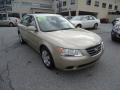 Camel Pearl - Sonata GLS Photo No. 8