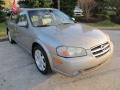 2002 Sterling Mist Metallic Nissan Maxima GLE  photo #4