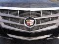 Black Raven - CTS 4 AWD Coupe Photo No. 22