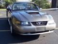 2002 Mineral Grey Metallic Ford Mustang GT Convertible  photo #11