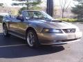 2002 Mineral Grey Metallic Ford Mustang GT Convertible  photo #12