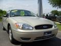 2006 Gold Ash Metallic Ford Taurus SE  photo #9