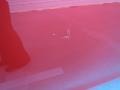 Barcelona Red Metallic - Camry LE Photo No. 17