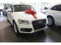 Glacier White Metallic - Q5 3.0 TFSI quattro Photo No. 1