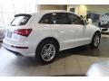 Glacier White Metallic - Q5 3.0 TFSI quattro Photo No. 10