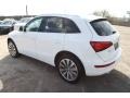 Ibis White - Q5 2.0 TFSI hybrid quattro Photo No. 6