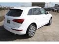 Ibis White - Q5 2.0 TFSI hybrid quattro Photo No. 9