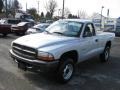 2002 Bright Silver Metallic Dodge Dakota Regular Cab 4x4  photo #8