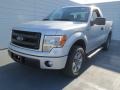 2013 Ingot Silver Metallic Ford F150 STX Regular Cab  photo #6