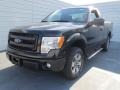 2013 Tuxedo Black Metallic Ford F150 STX Regular Cab  photo #6