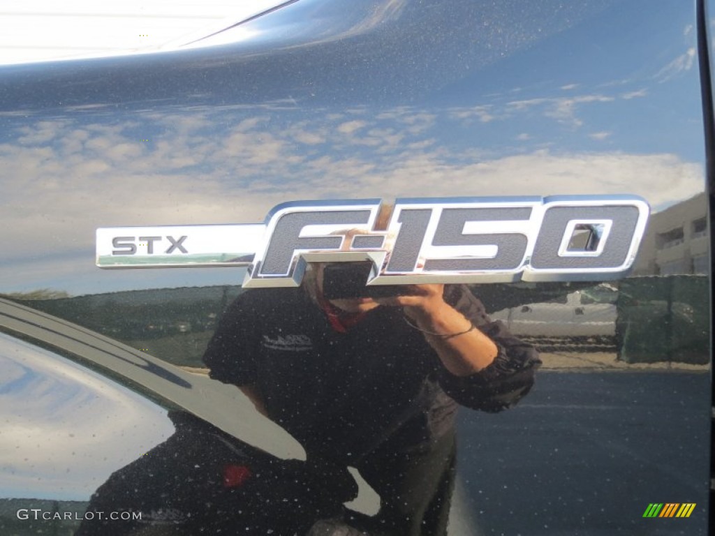2013 Ford F150 STX Regular Cab Marks and Logos Photo #74667954