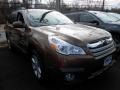 Caramel Bronze Pearl - Outback 2.5i Premium Photo No. 1