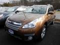 2013 Caramel Bronze Pearl Subaru Outback 2.5i Premium  photo #2