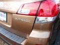 2013 Caramel Bronze Pearl Subaru Outback 2.5i Premium  photo #6