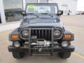 2002 Steel Blue Pearl Jeep Wrangler X 4x4  photo #3