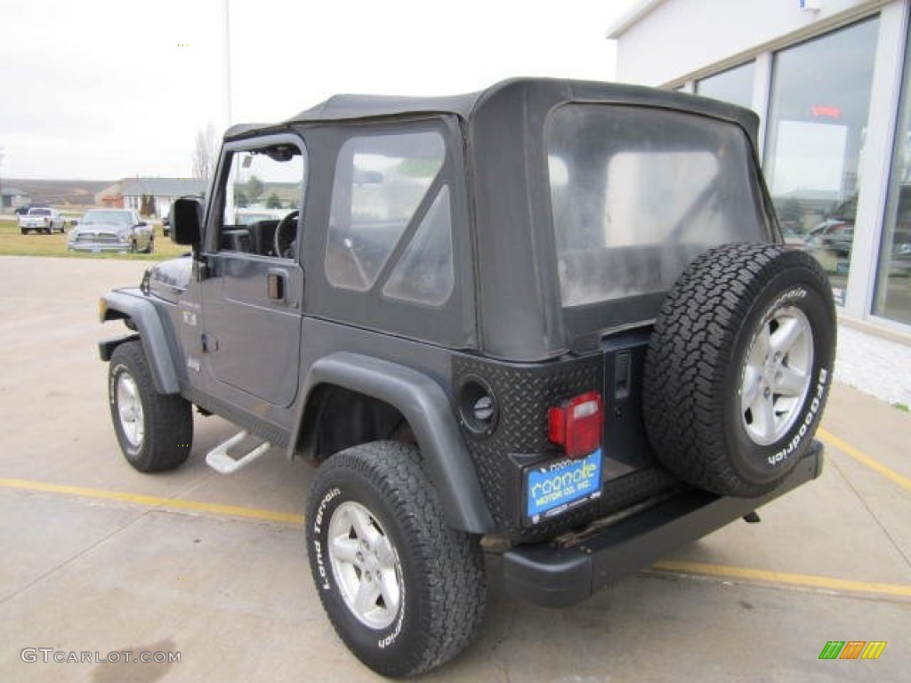 2002 Wrangler X 4x4 - Steel Blue Pearl / Agate Black photo #10