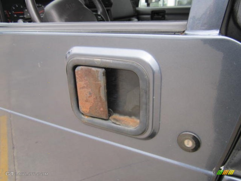 2002 Wrangler X 4x4 - Steel Blue Pearl / Agate Black photo #17