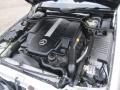 5.0 Liter SOHC 24-Valve V8 Engine for 1999 Mercedes-Benz SL 500 Roadster #74682897