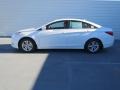 Shimmering White - Sonata GLS Photo No. 5