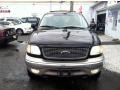 Black Clearcoat - Expedition Eddie Bauer 4x4 Photo No. 2