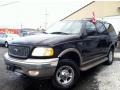 Black Clearcoat - Expedition Eddie Bauer 4x4 Photo No. 3