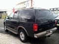 Black Clearcoat - Expedition Eddie Bauer 4x4 Photo No. 5