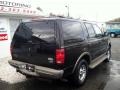 2001 Black Clearcoat Ford Expedition Eddie Bauer 4x4  photo #7