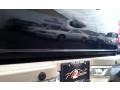 Black Clearcoat - Expedition Eddie Bauer 4x4 Photo No. 12