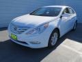 Shimmering White - Sonata GLS Photo No. 6