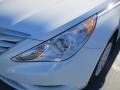 Shimmering White - Sonata GLS Photo No. 8