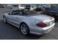 2009 Palladium Silver Metallic Mercedes-Benz SL 550 Roadster  photo #18