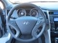 Iridescent Silver Blue Pearl - Sonata GLS Photo No. 29