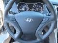 Iridescent Silver Blue Pearl - Sonata GLS Photo No. 29