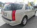Gold Mist - SRX V6 Photo No. 7