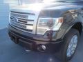 Tuxedo Black Metallic - F150 Platinum SuperCrew 4x4 Photo No. 9