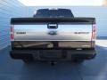 2013 Tuxedo Black Metallic Ford F150 Platinum SuperCrew  photo #4