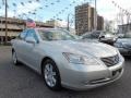 Tungsten Silver Metallic - ES 350 Photo No. 4