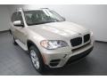 Orion Silver Metallic - X5 xDrive 35i Premium Photo No. 5