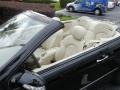 Black - CLK 350 Cabriolet Photo No. 10