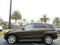Dakota Brown Metallic 2013 Mercedes-Benz ML 350 4Matic Exterior
