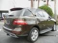 Dakota Brown Metallic - ML 350 4Matic Photo No. 3