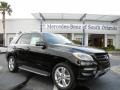 Black - ML 350 4Matic Photo No. 1