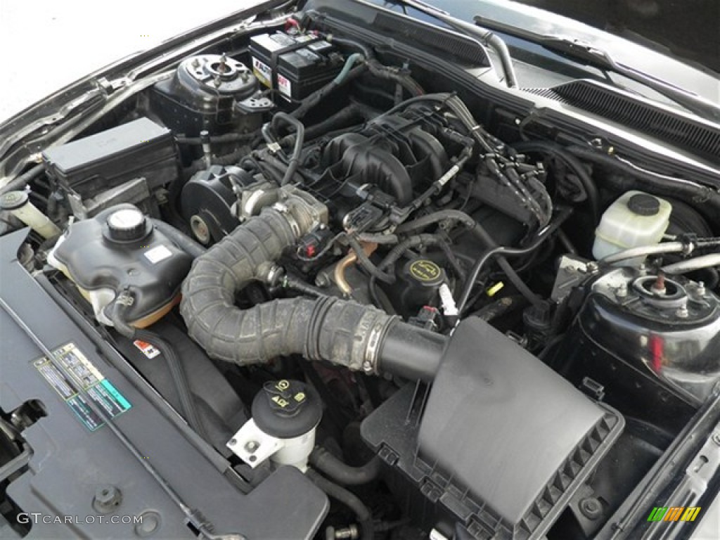 2005 Mustang V6 Premium Convertible - Black / Dark Charcoal photo #29
