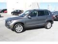 Pepper Gray Metallic - Tiguan SE Photo No. 5