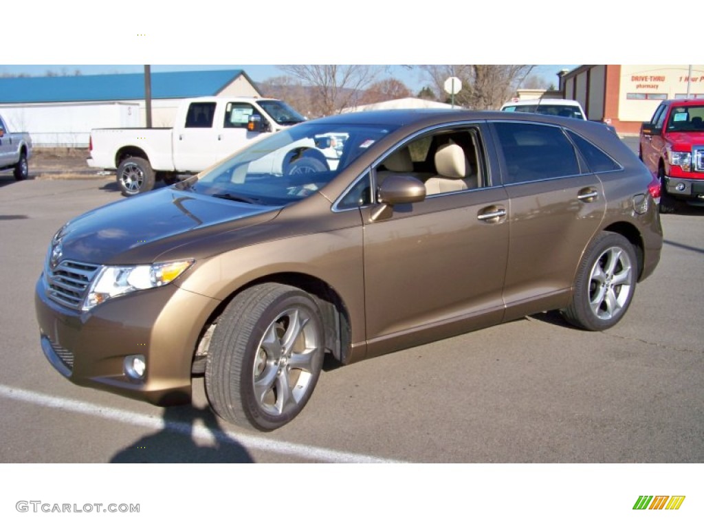 2009 Venza V6 AWD - Golden Umber Mica / Ivory photo #1