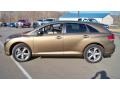 Golden Umber Mica - Venza V6 AWD Photo No. 8