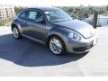Platinum Gray Metallic - Beetle 2.5L Photo No. 1
