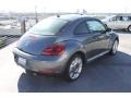 Platinum Gray Metallic - Beetle 2.5L Photo No. 6