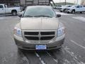 Light Khaki Metallic - Caliber SE Photo No. 2